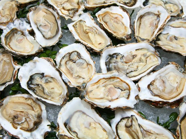 Events in Connecticut: Milford Oyster Festival in New Haven